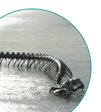 Armitec Serpent de mer Saint Brévin Les pins